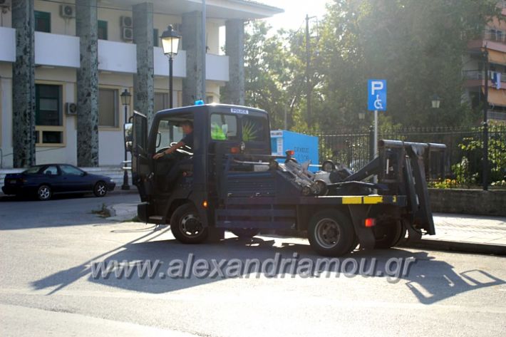 alexandriamou.gr_geranosalex2019IMG_9859