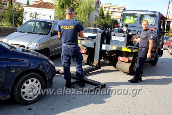 alexandriamou.gr_geranosalex2019IMG_9863