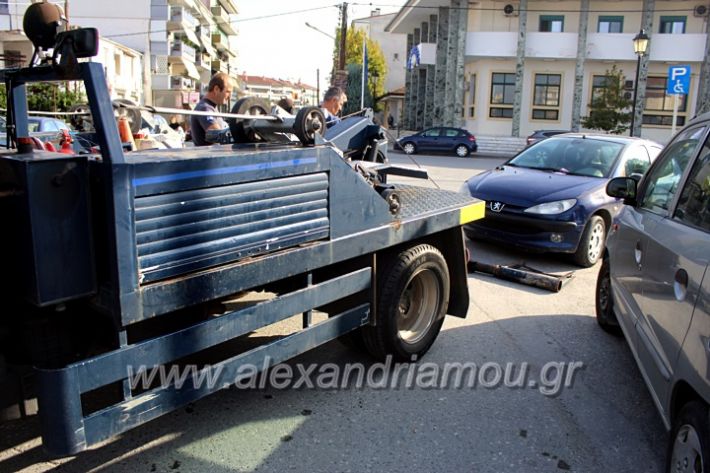 alexandriamou.gr_geranosalex2019IMG_9866