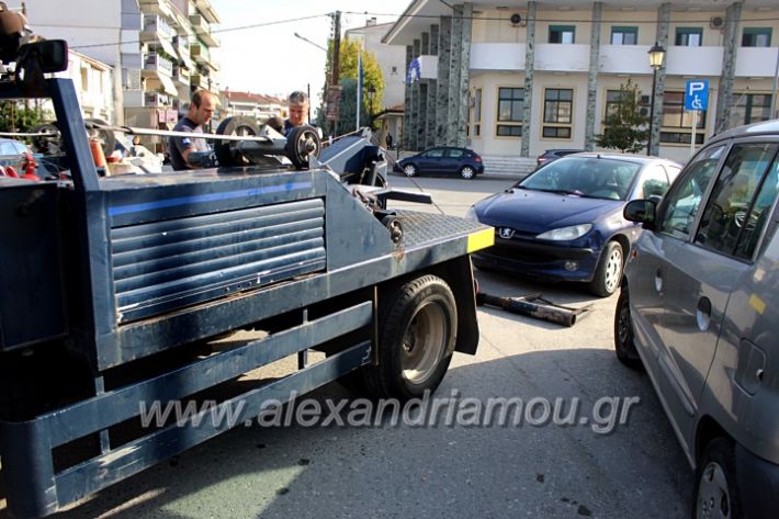 alexandriamou.gr_geranosalex2019IMG_9867