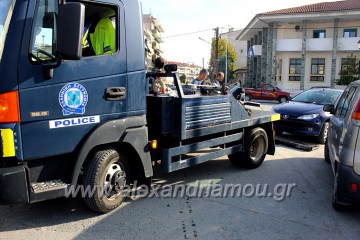 alexandriamou.gr_geranosalex2019IMG_9869