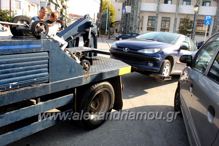 alexandriamou.gr_geranosalex2019IMG_9871