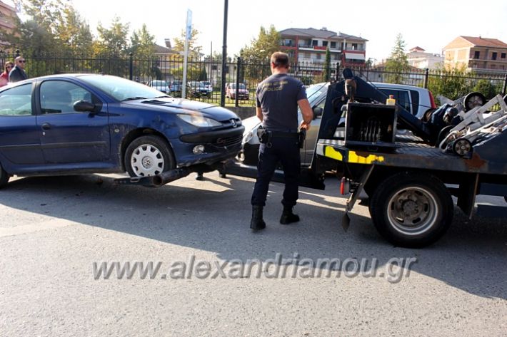 alexandriamou.gr_geranosalex2019IMG_9876