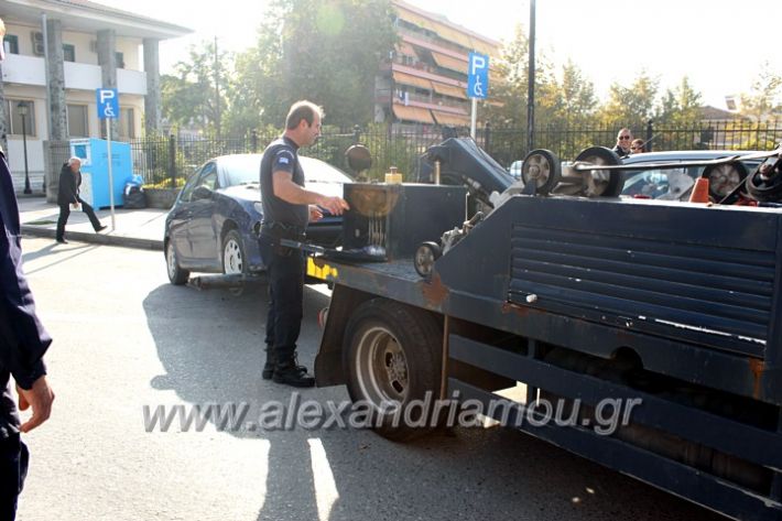 alexandriamou.gr_geranosalex2019IMG_9877