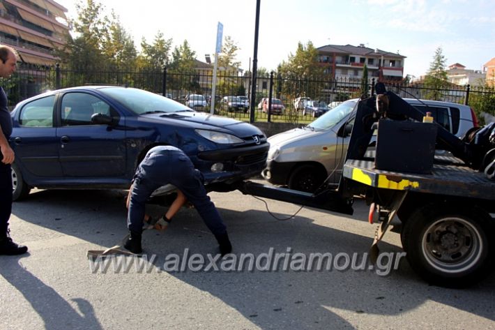 alexandriamou.gr_geranosalex2019IMG_9879