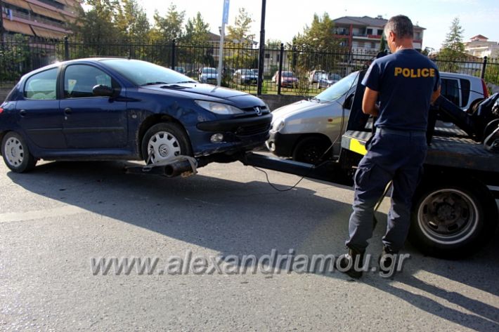 alexandriamou.gr_geranosalex2019IMG_9881