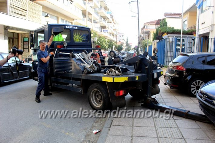 alexandriamou.gr_geranosalex2019IMG_9885