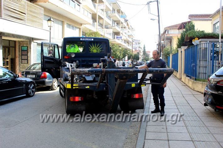 alexandriamou.gr_geranosalex2019IMG_9887