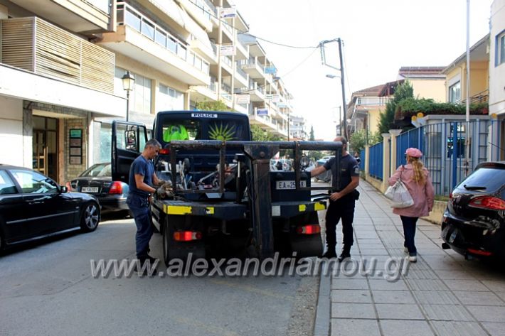 alexandriamou.gr_geranosalex2019IMG_9888