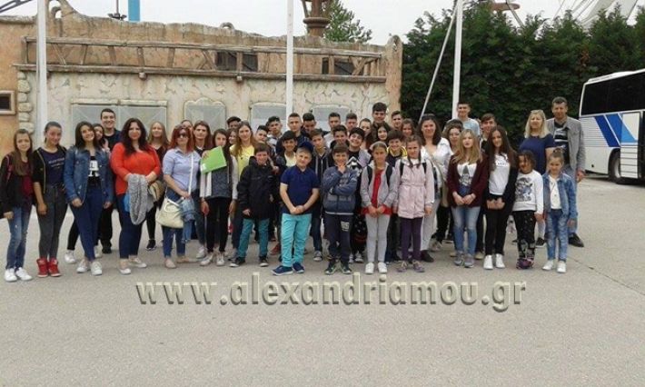 gidaropoulou_agkathia144