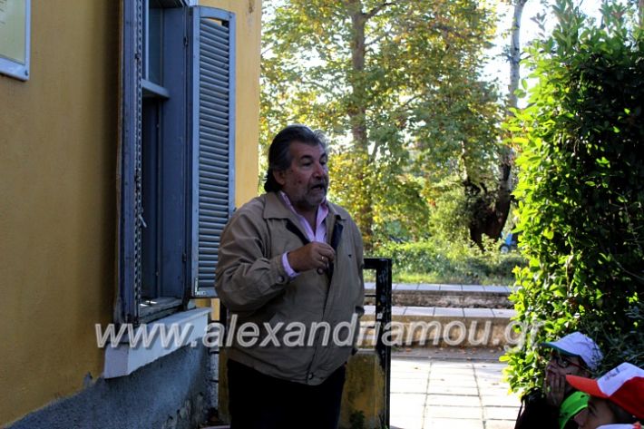 alexandriamou.gr_giobanopoulos7oIMG_2031