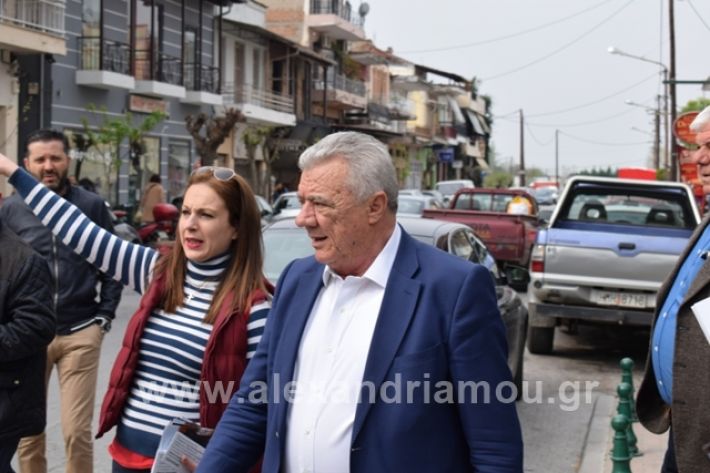 alexandriamou.gr_gkirinilaiki2019005