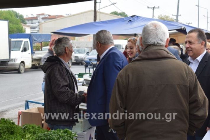 alexandriamou.gr_gkirinilaiki2019010