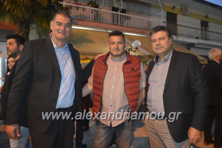 alexandriamou_gkirinisplati2019033