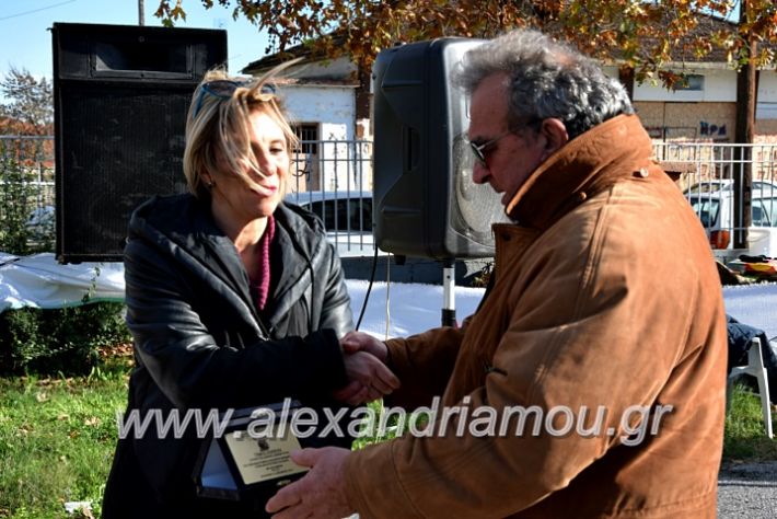 alexandriamou.gr_palioxorigrounoxara19DSC_0193