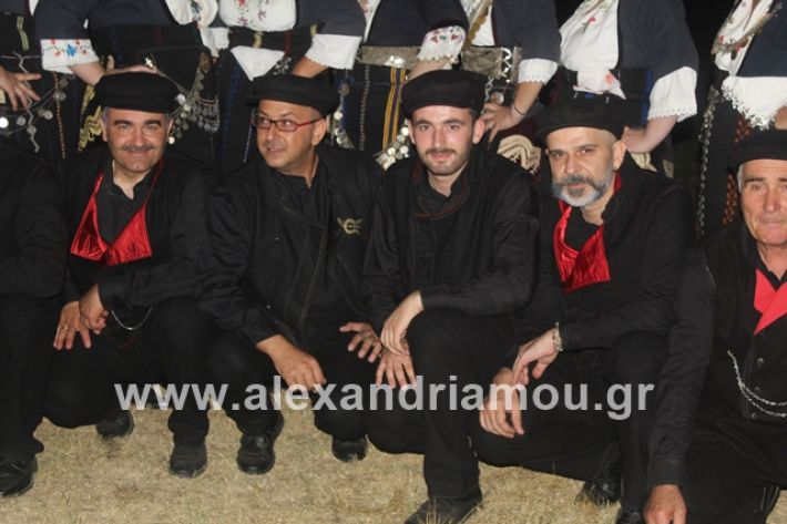 alexandriamou.gr_brusakipanigiri2019020