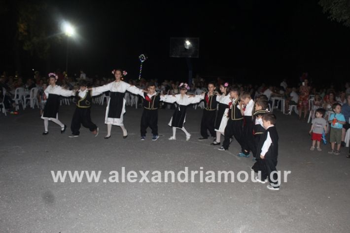 alexandriamou.gr_brusakipanigiri2019054