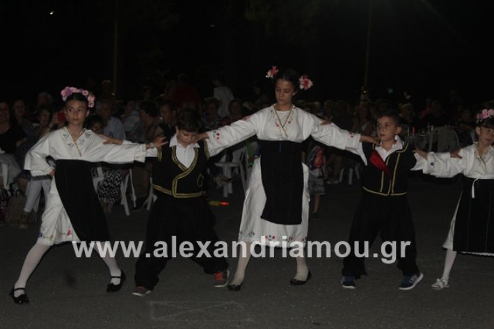 alexandriamou.gr_brusakipanigiri2019055