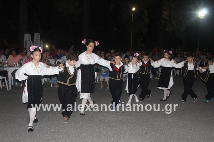 alexandriamou.gr_brusakipanigiri2019057