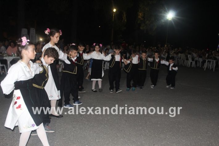 alexandriamou.gr_brusakipanigiri2019058