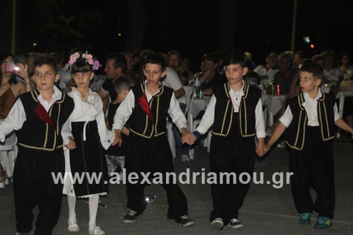 alexandriamou.gr_brusakipanigiri2019069