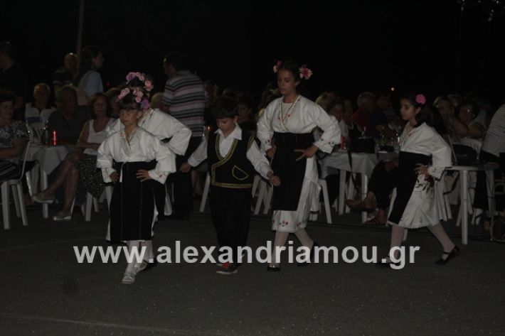 alexandriamou.gr_brusakipanigiri2019075