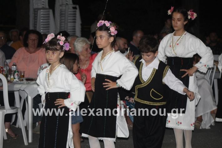 alexandriamou.gr_brusakipanigiri2019076