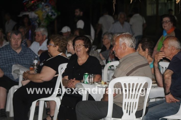 alexandriamou.gr_brusakipanigiri2019077