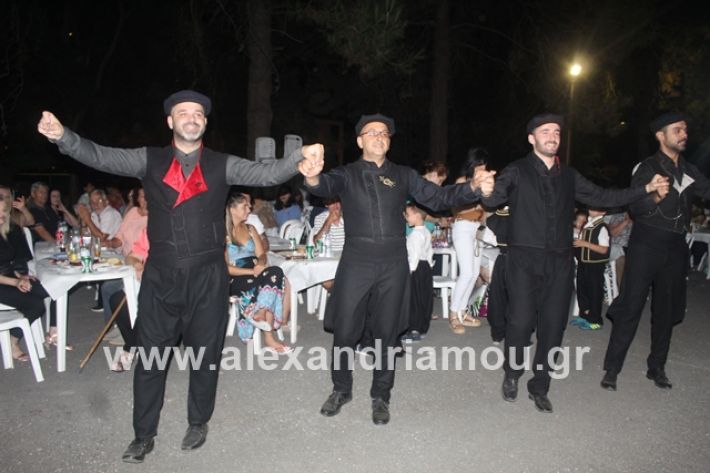 alexandriamou.gr_brusakipanigiri2019080