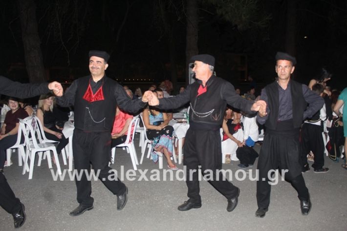 alexandriamou.gr_brusakipanigiri2019084