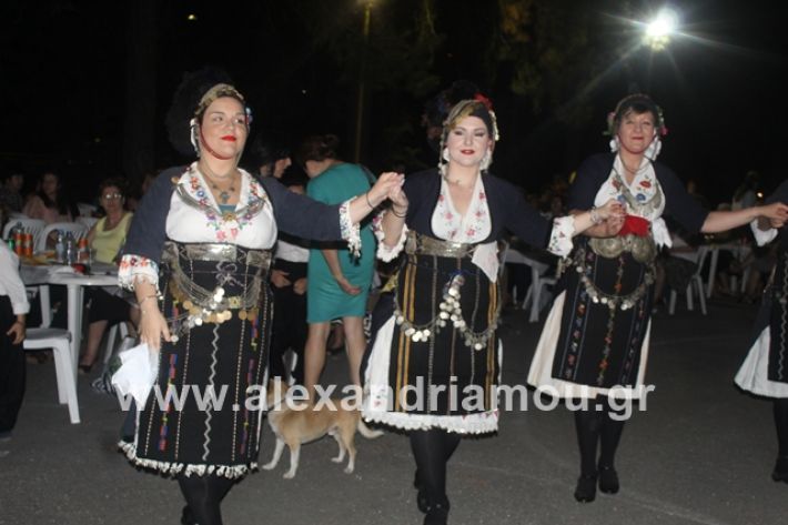 alexandriamou.gr_brusakipanigiri2019085