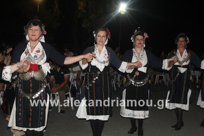 alexandriamou.gr_brusakipanigiri2019086