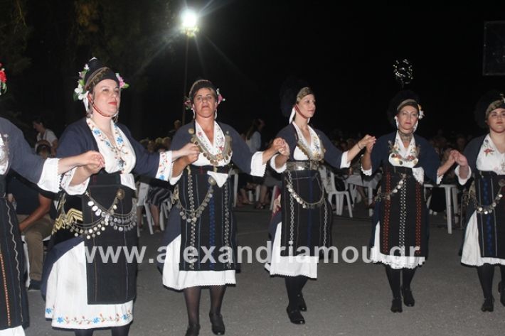 alexandriamou.gr_brusakipanigiri2019087