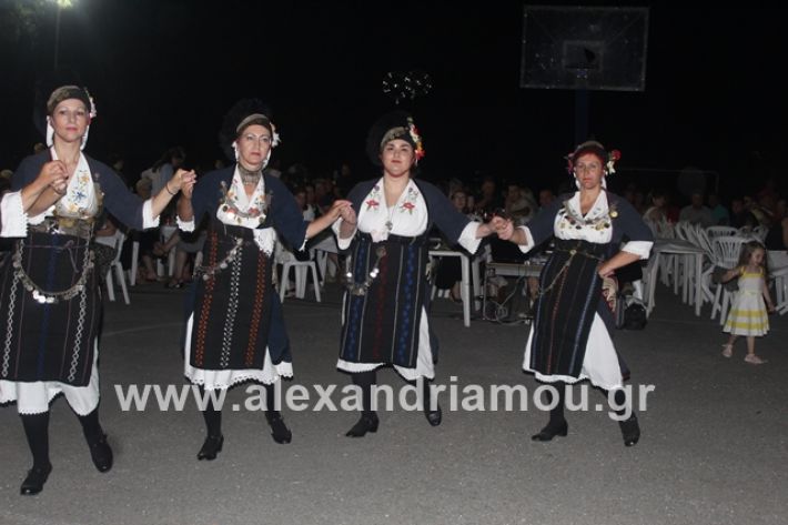 alexandriamou.gr_brusakipanigiri2019088