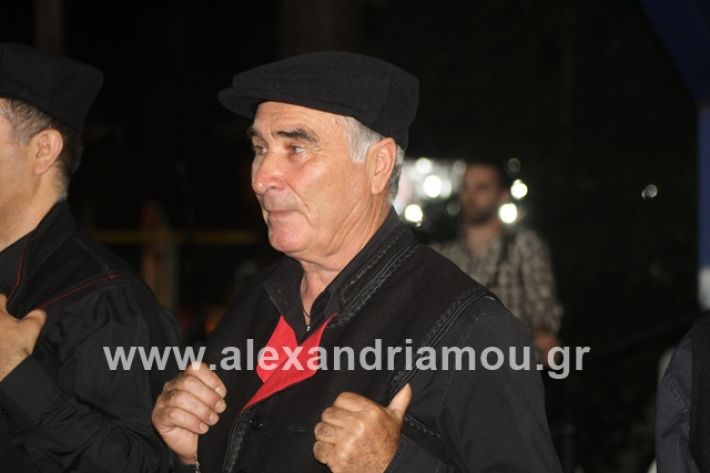 alexandriamou.gr_brusakipanigiri2019121