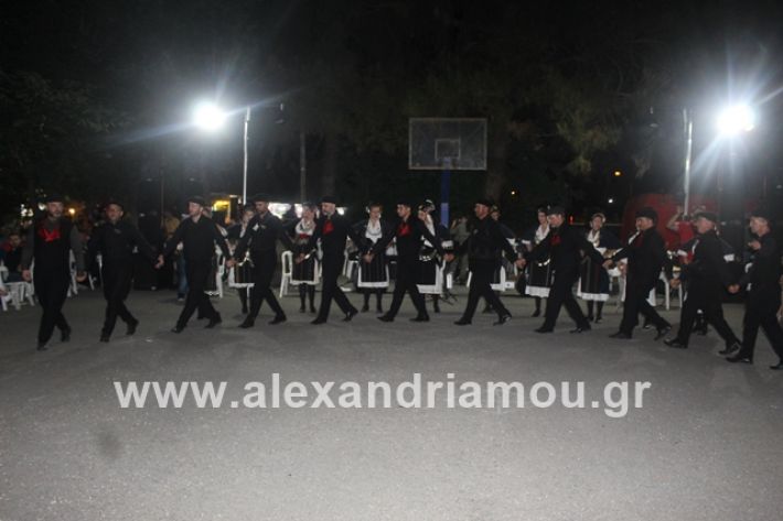 alexandriamou.gr_brusakipanigiri2019123