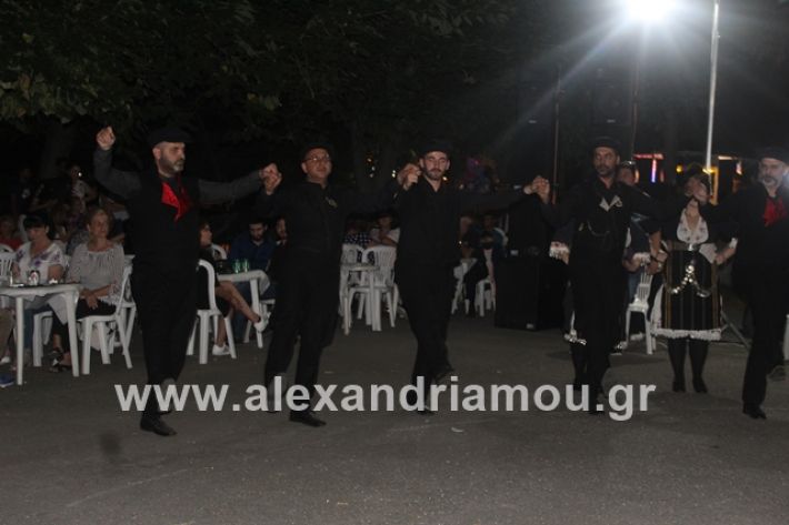 alexandriamou.gr_brusakipanigiri2019124