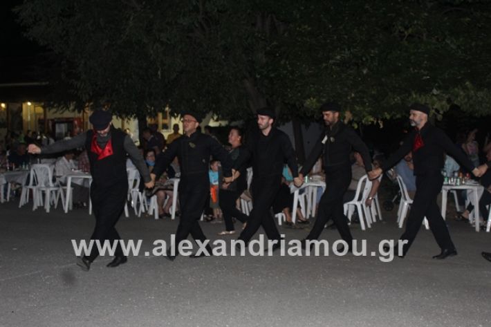 alexandriamou.gr_brusakipanigiri2019125