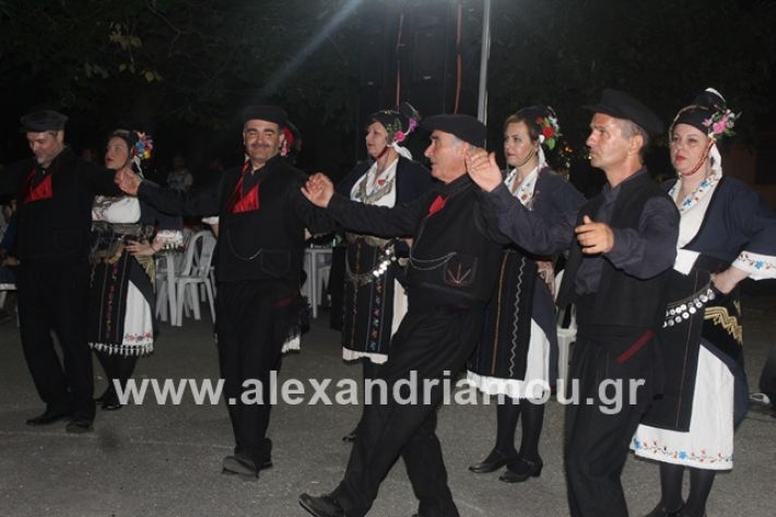 alexandriamou.gr_brusakipanigiri2019127