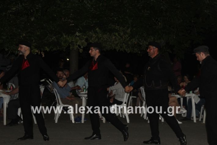 alexandriamou.gr_brusakipanigiri2019128