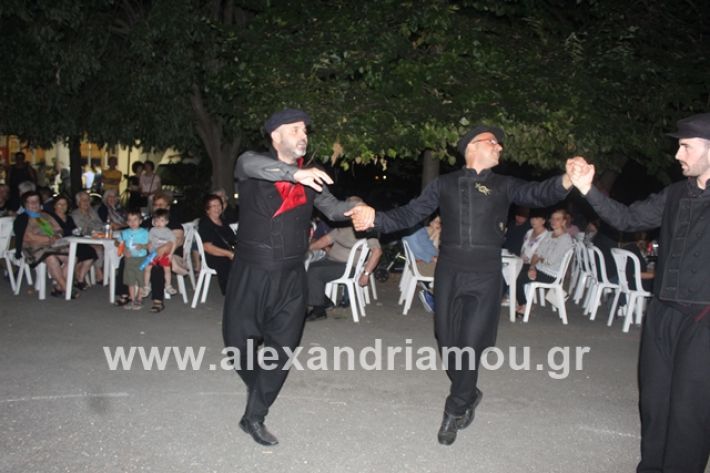 alexandriamou.gr_brusakipanigiri2019131