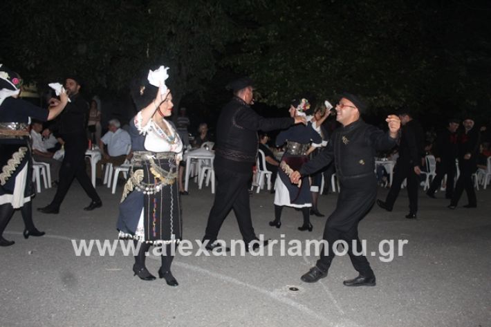alexandriamou.gr_brusakipanigiri2019138