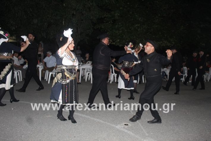 alexandriamou.gr_brusakipanigiri2019138