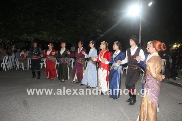 alexandriamou.gr_brusakipanigiri2019149