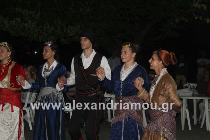 alexandriamou.gr_brusakipanigiri2019153