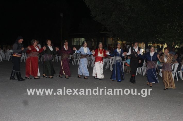 alexandriamou.gr_brusakipanigiri2019174