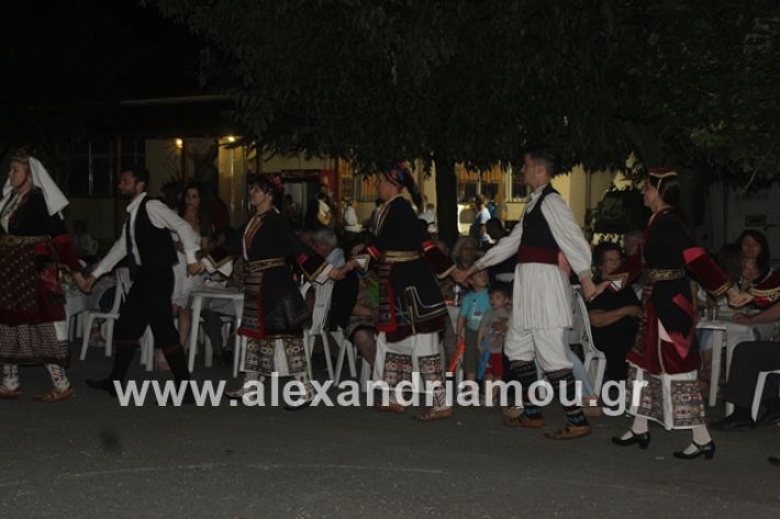 alexandriamou.gr_brusakipanigiri2019180