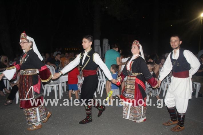 alexandriamou.gr_brusakipanigiri2019193