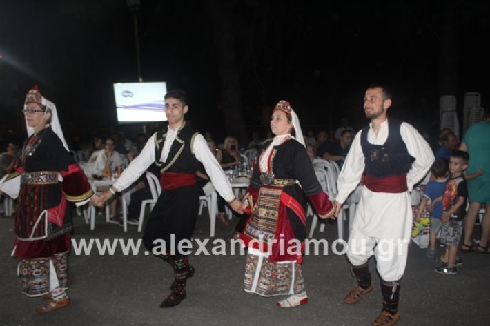 alexandriamou.gr_brusakipanigiri2019194