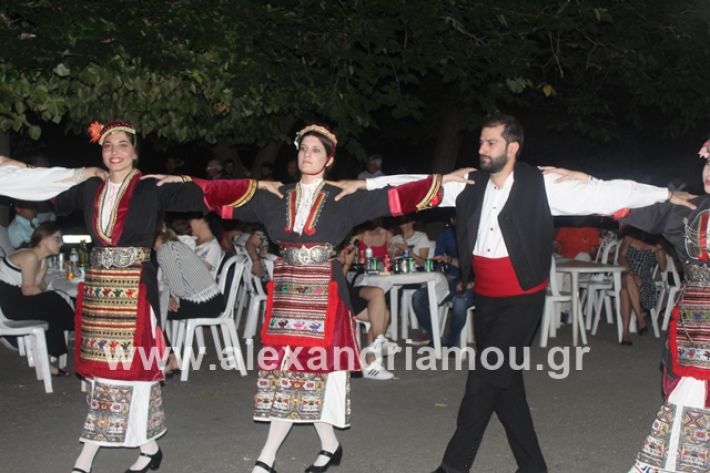 alexandriamou.gr_brusakipanigiri2019200